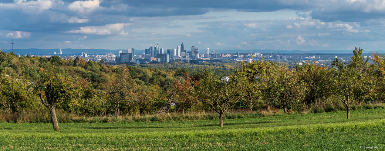 Herbstimpression aus dem Taunus