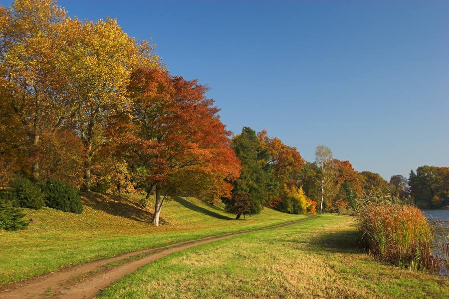 Herbstimpression aus dem Wörlitzer Park