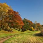 Herbstimpression aus dem Wörlitzer Park