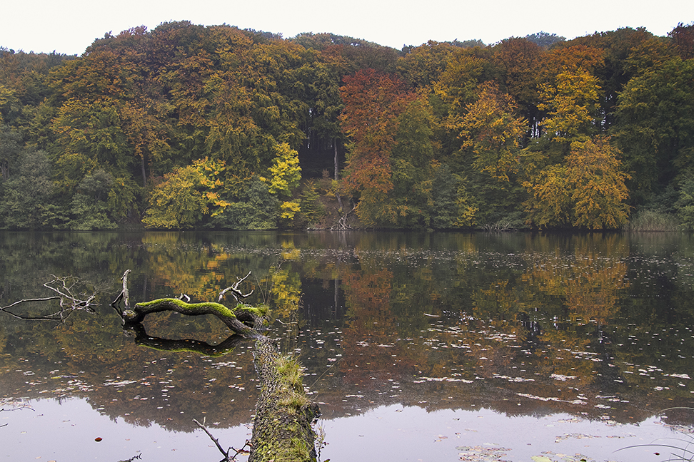 Herbstimpression