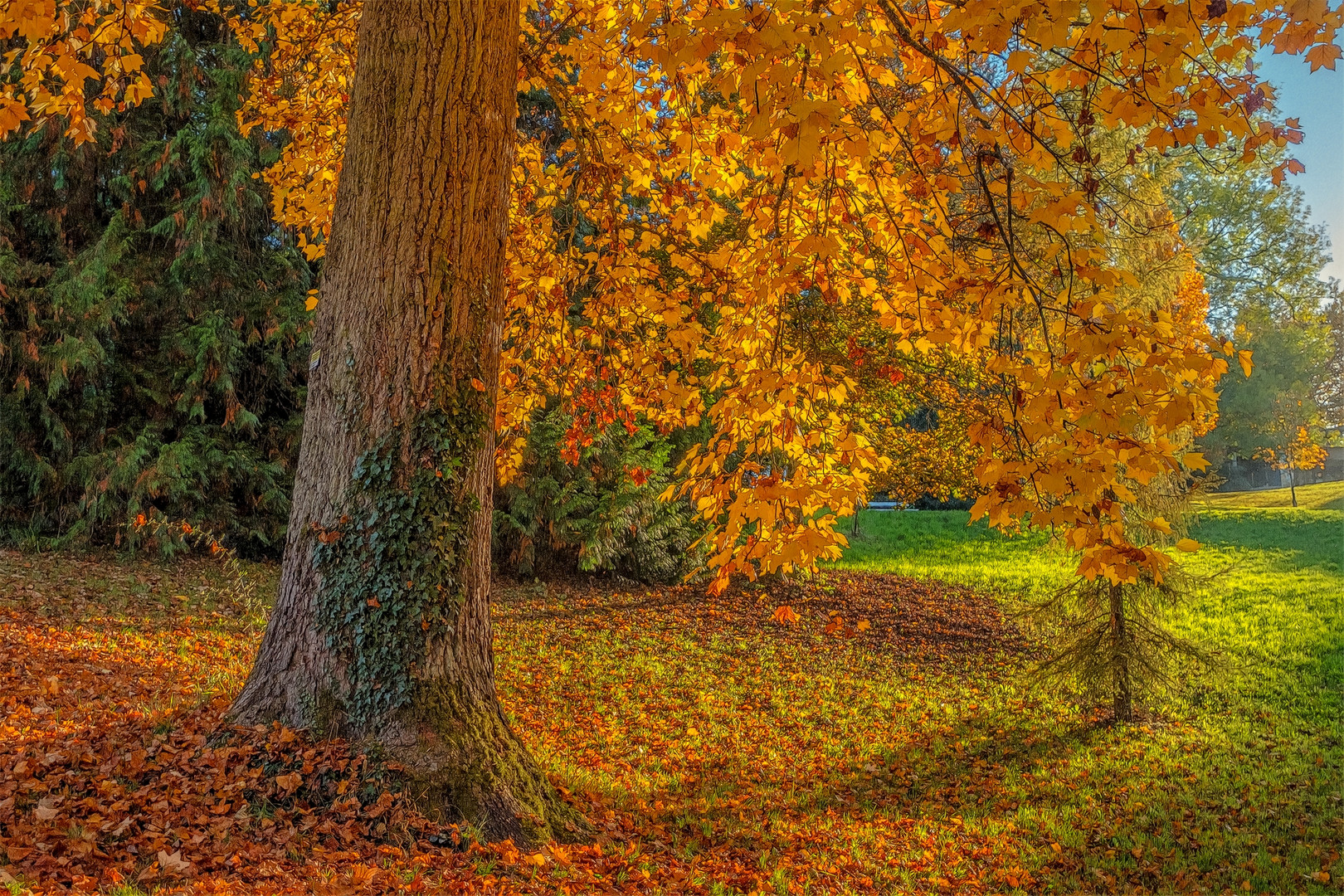 Herbstimpression Badenweiler