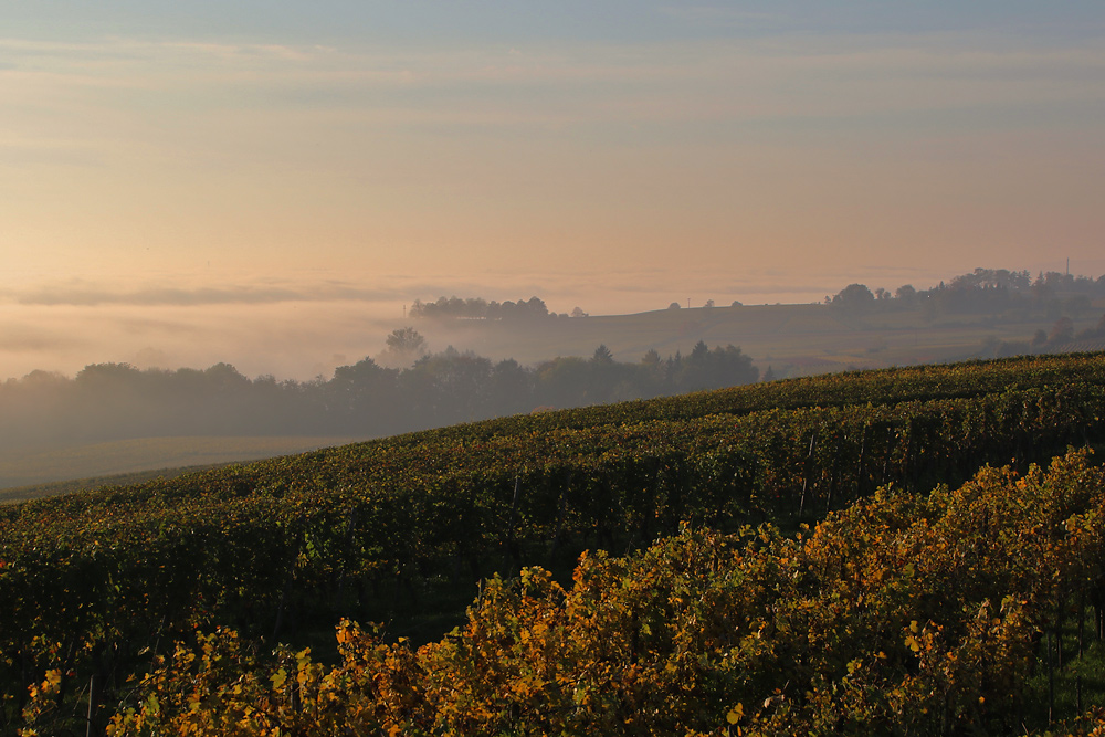 Herbstimpression bei Nebel und Sonnenschein