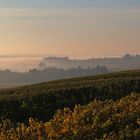 Herbstimpression bei Nebel und Sonnenschein