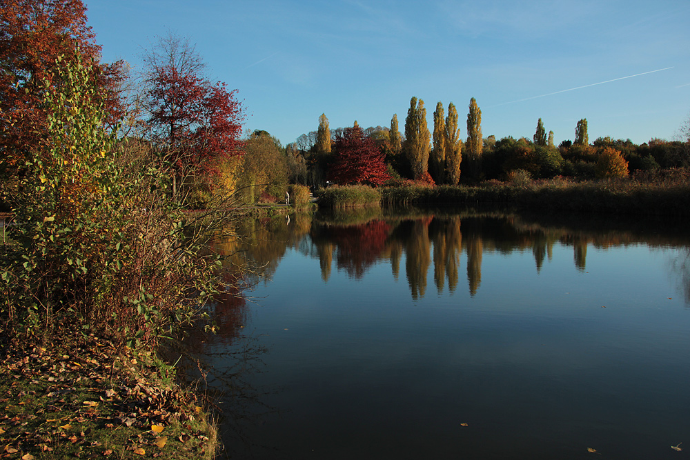 Herbstimpression