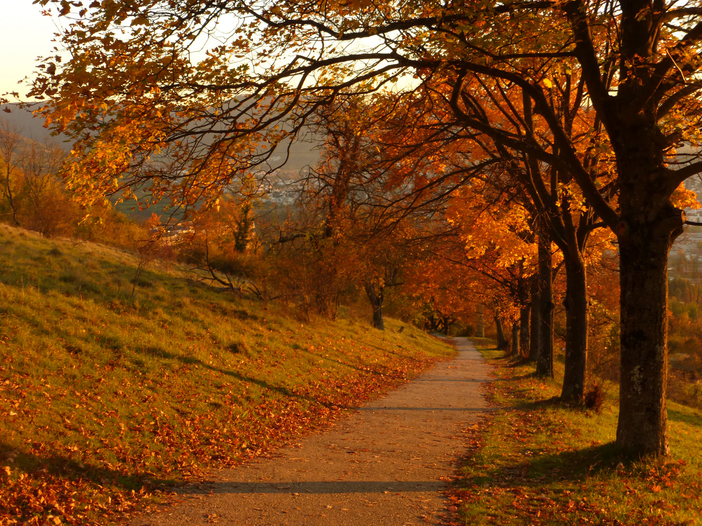 Herbstimpression