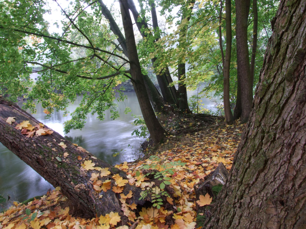 Herbstimpression