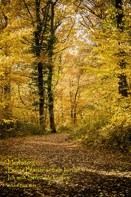 Herbstimpression