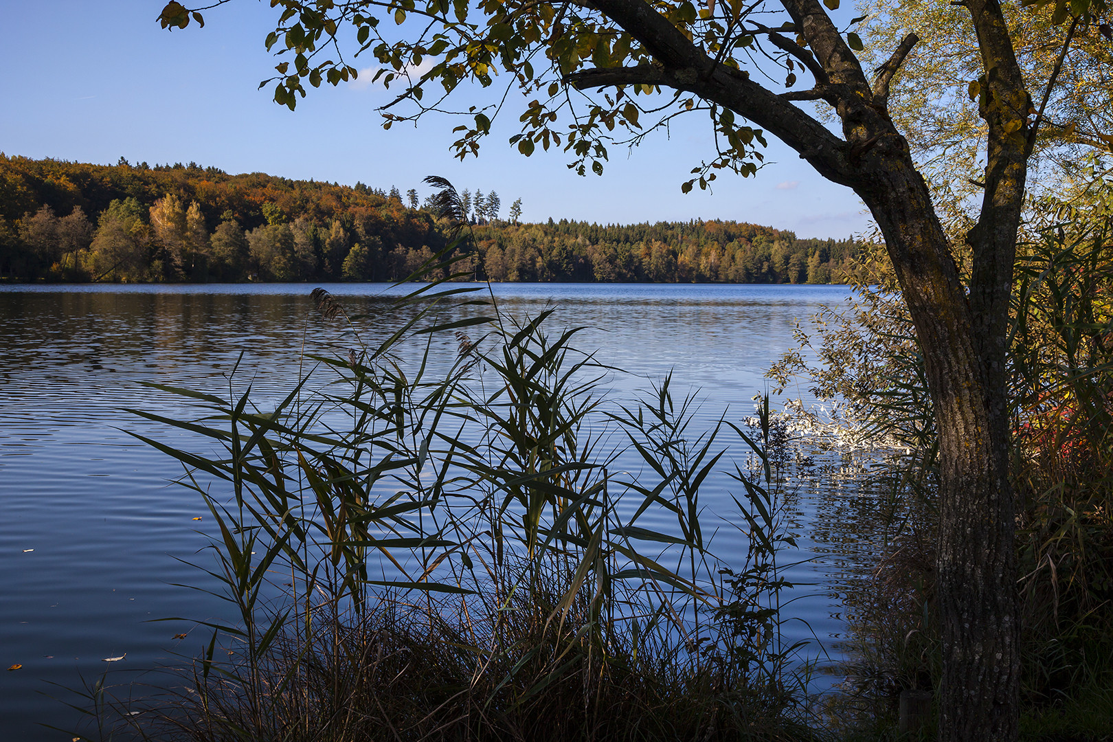 Herbstimpression