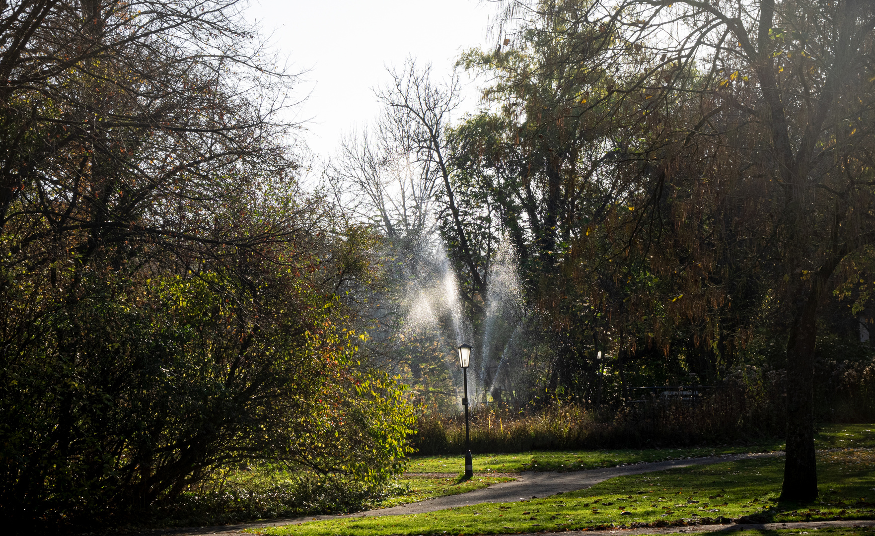 Herbstimpression