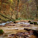 Herbstimpression - dunkel