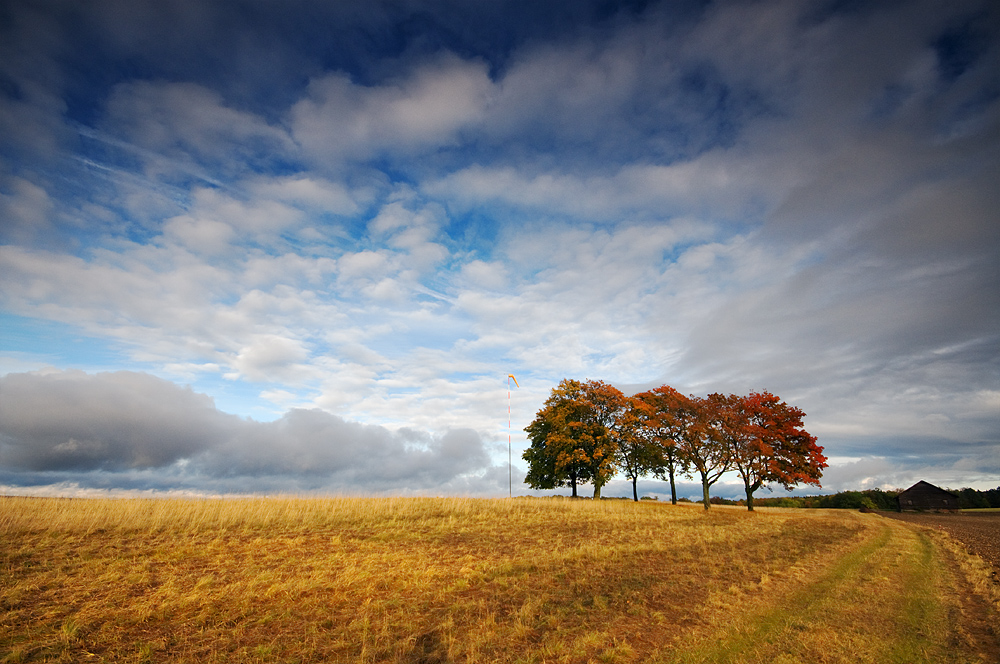 Herbstimpression