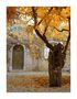 Herbstimpression by Jens Friedrich Hertel