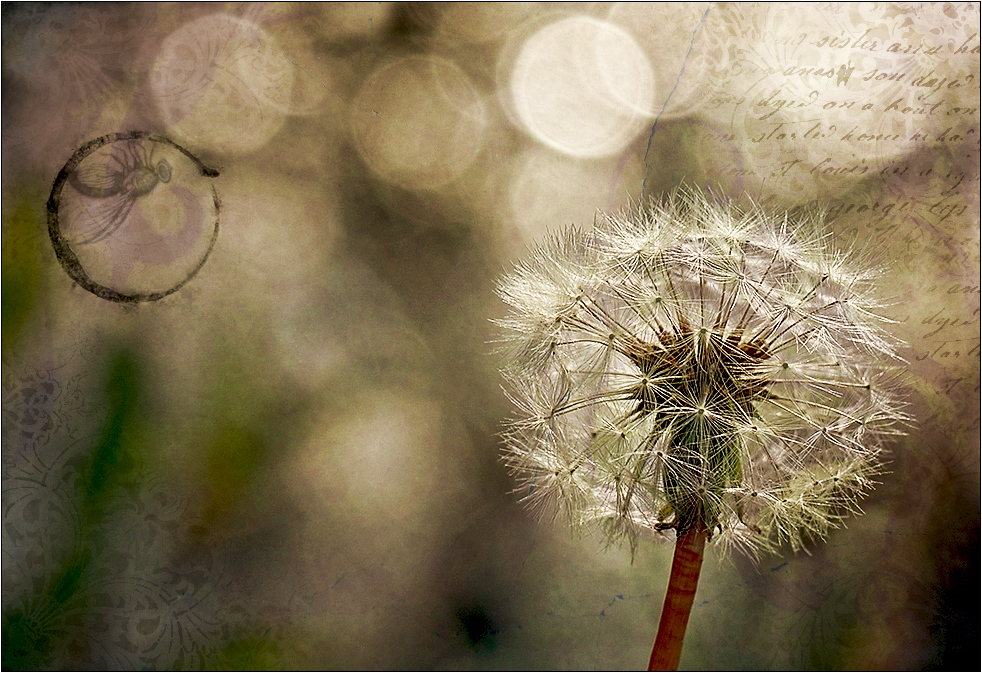 herbstimpression