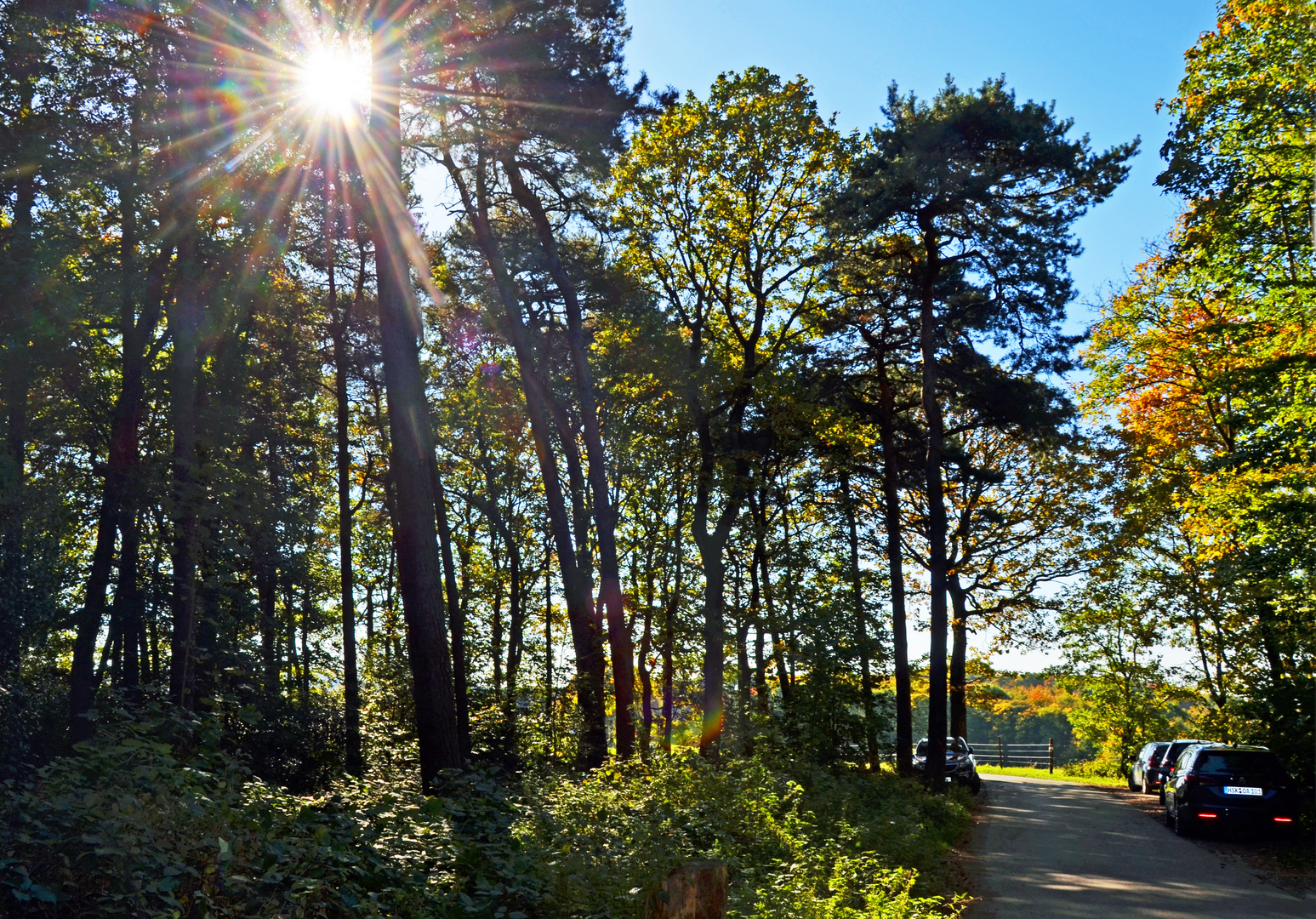 Herbstimpression, eingefangen beim Sonntagsspaziergang