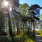 Herbstimpression, eingefangen beim Sonntagsspaziergang