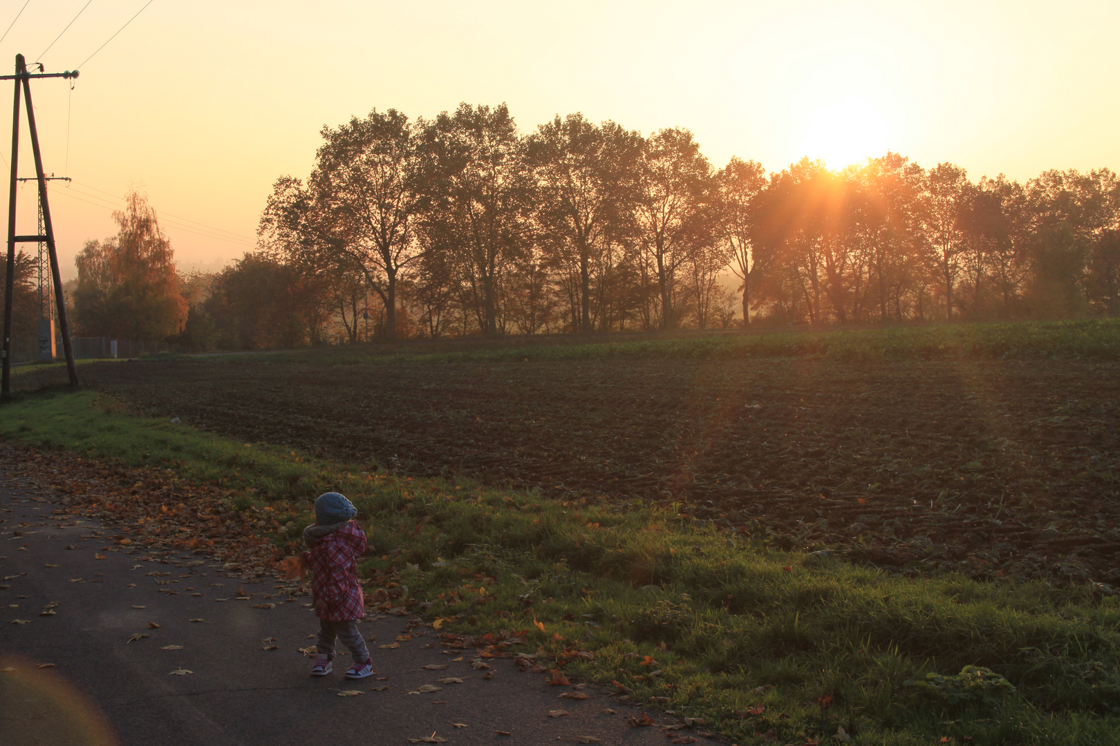 Herbstimpression