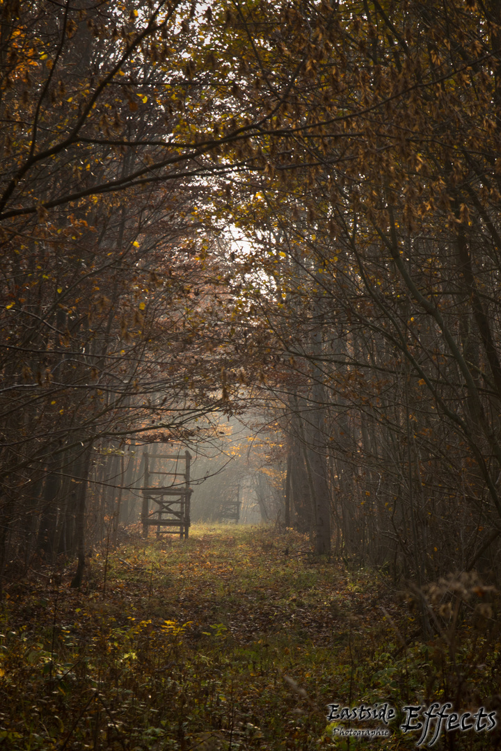 Herbstimpression