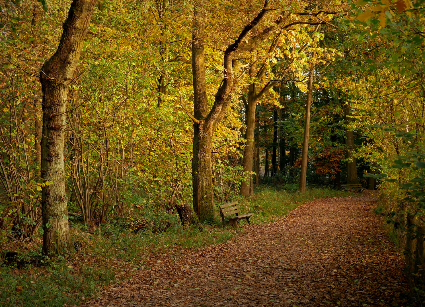 Herbstimpression I...