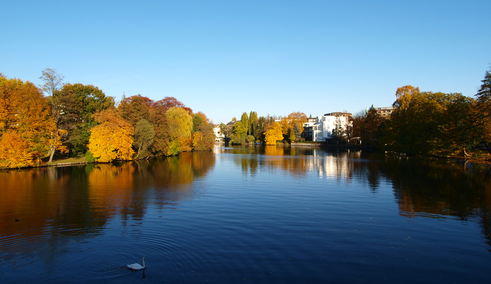 Herbstimpression II