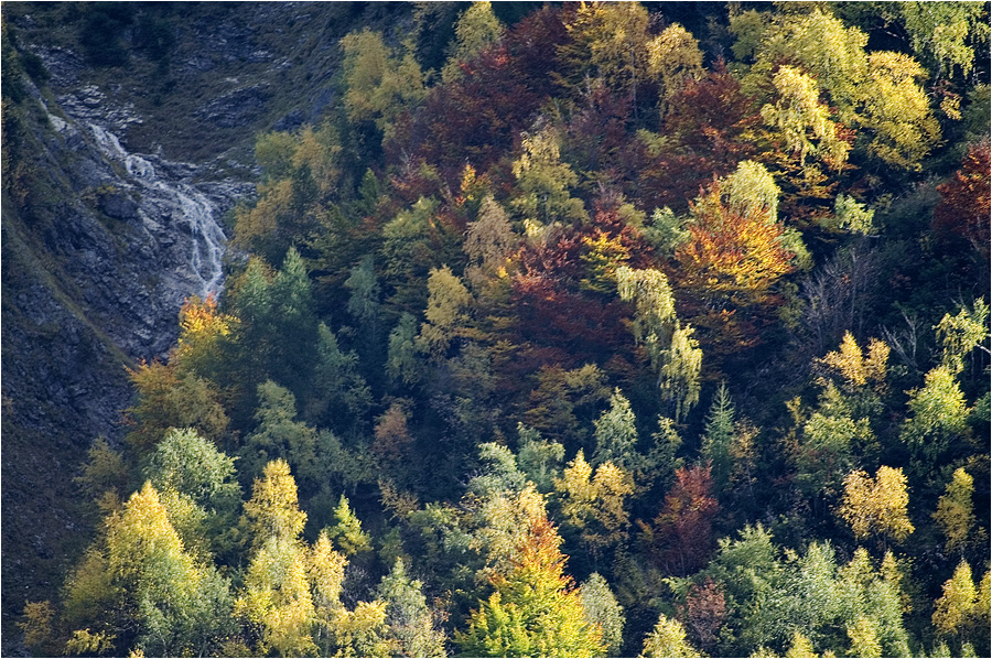 Herbstimpression II