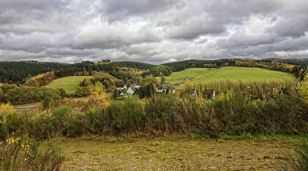 Herbstimpression II