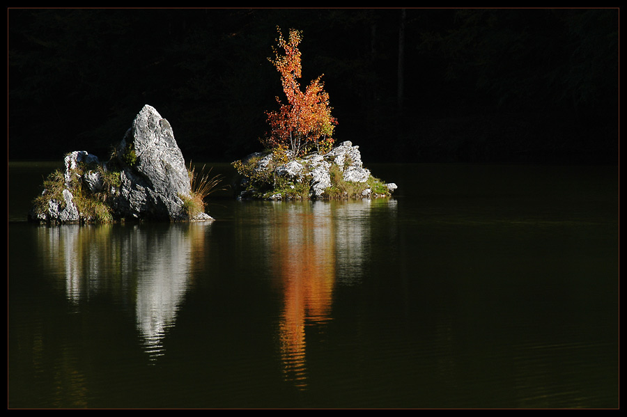 Herbstimpression III