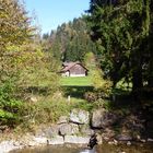 Herbstimpression im Eigenthal ...