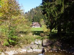 Herbstimpression im Eigenthal ...