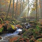 Herbstimpression im Ilsetal