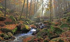 Herbstimpression im Ilsetal