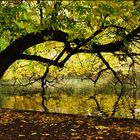 Herbstimpression im Park