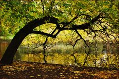 Herbstimpression im Park