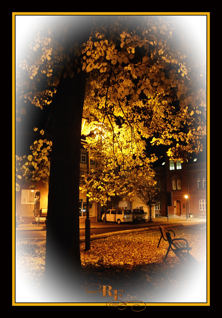 Herbstimpression in der Heiligenstädter Lindenallee