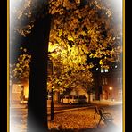Herbstimpression in der Heiligenstädter Lindenallee