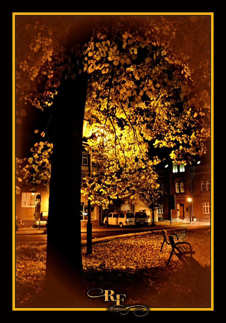 Herbstimpression in der Heiligenstädter Lindenallee - Version goldene Vignette