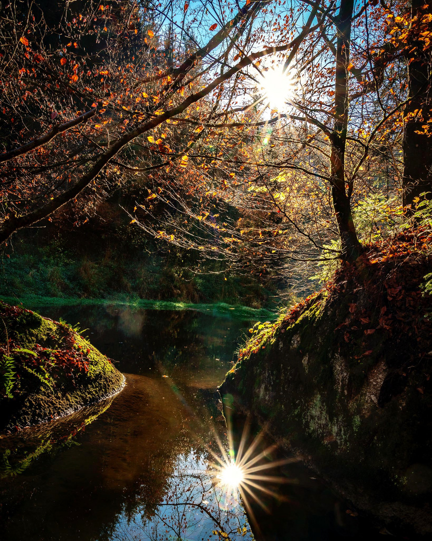 Herbstimpression in der Stillensteinklamm bei Grein/Donau