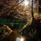 Herbstimpression in der Stillensteinklamm bei Grein/Donau