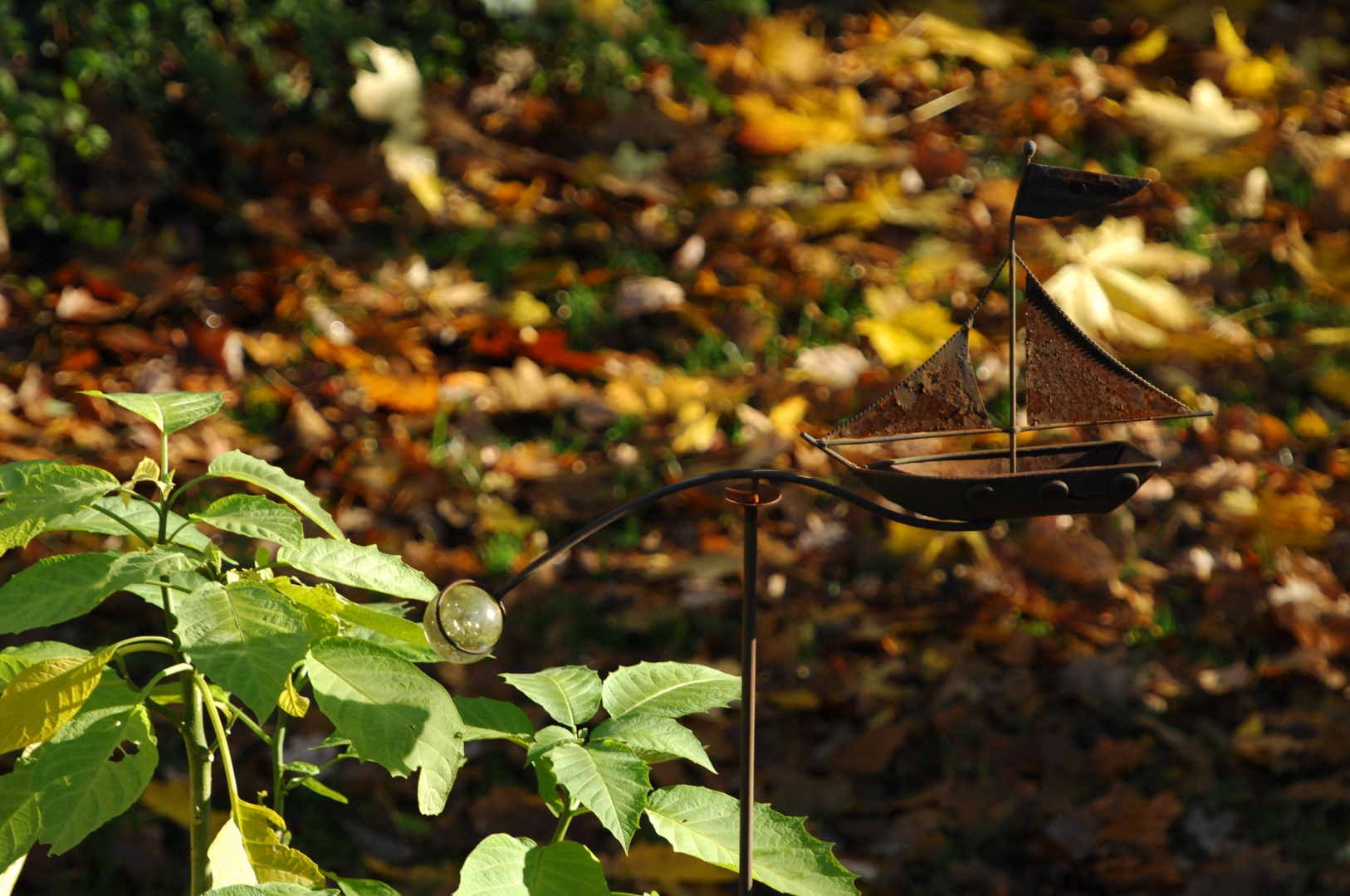 Herbstimpression in Kettwig