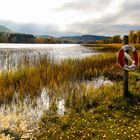 Herbstimpression in Nordschweden