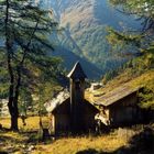 Herbstimpression in Osttirol