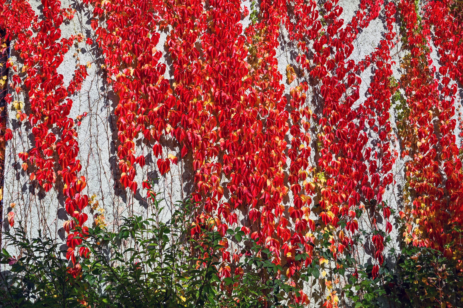 Herbstimpression in Rot 