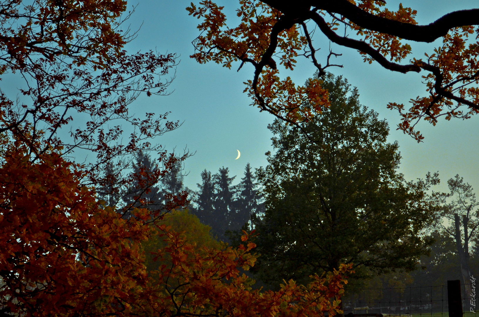 Herbstimpression - "Luna"