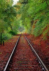 Herbstimpression mit Bahngleisen