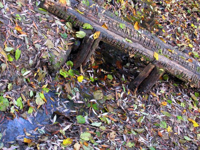 Herbstimpression mit kleiner Brücke