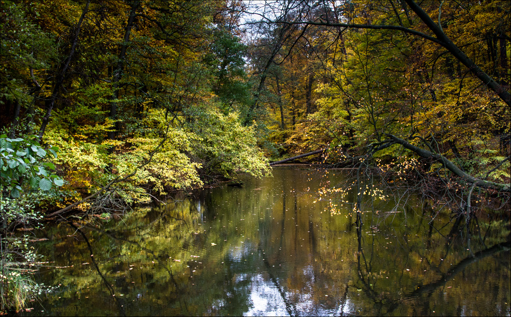 Herbstimpression Schlaubetal