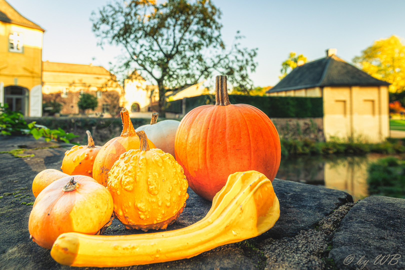 - Herbstimpression - Schloss Dyck -