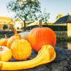 - Herbstimpression - Schloss Dyck -