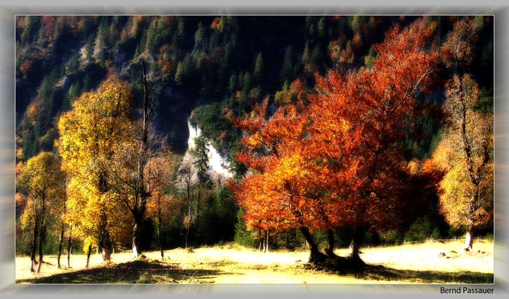 Herbstimpression vom Ahornboden