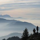 Herbstimpression vom Hochhäderich Blickrichtung Säntis