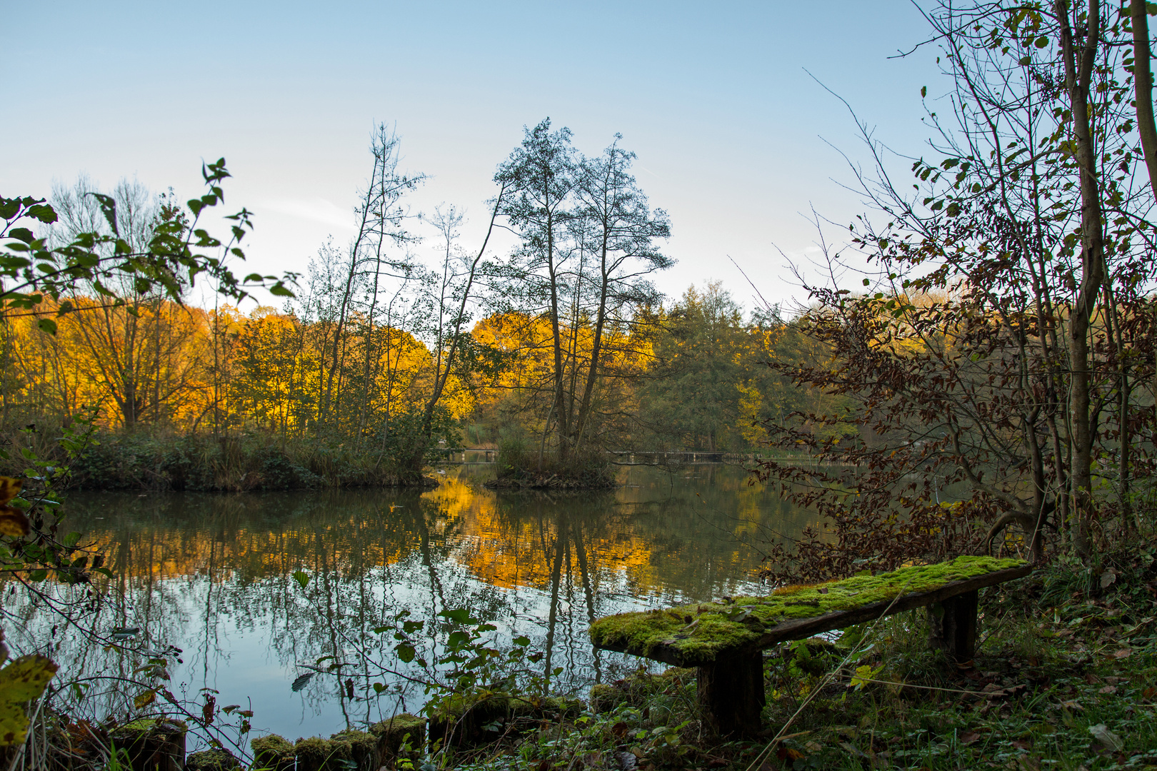 Herbstimpression vom Marstadter See